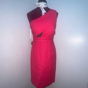 Designer Sample Raspberry Pencil Dress One Shoulder Small XS
